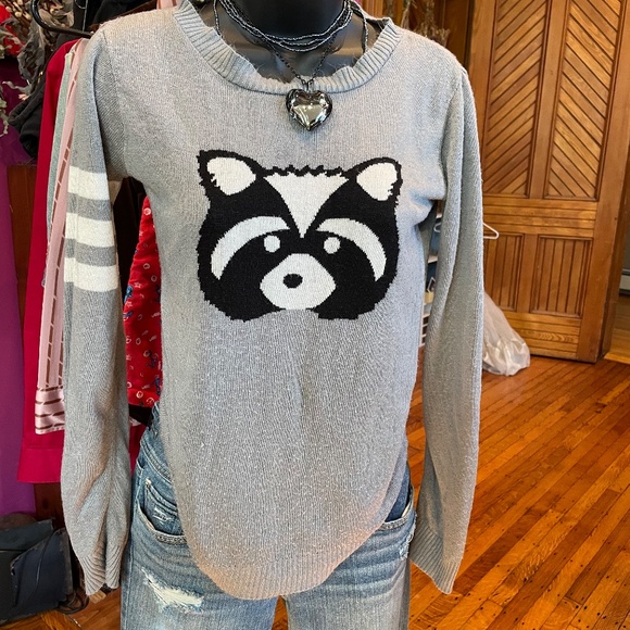 Delias Junior's Raccoon College-tyle Sweater, M - Picture 1 of 7